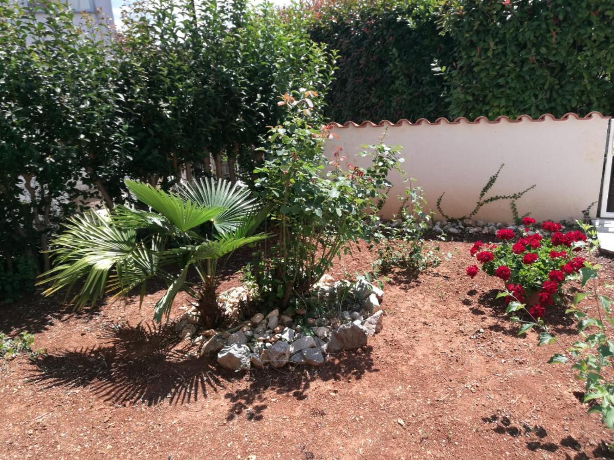 Apartment Bozena 1 *